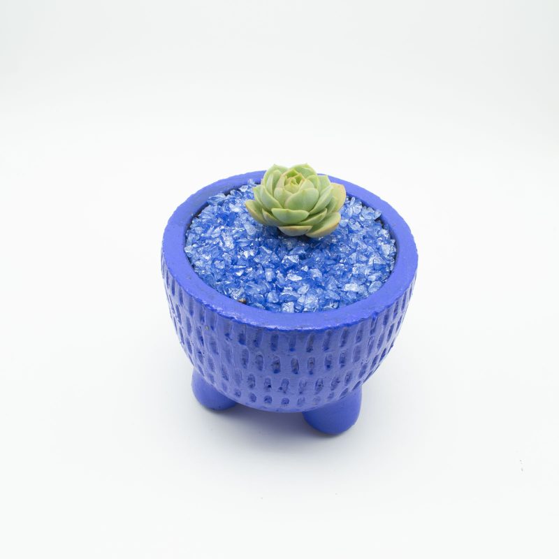 Green Rose