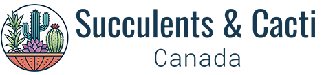 Succulents and Cacti Canada