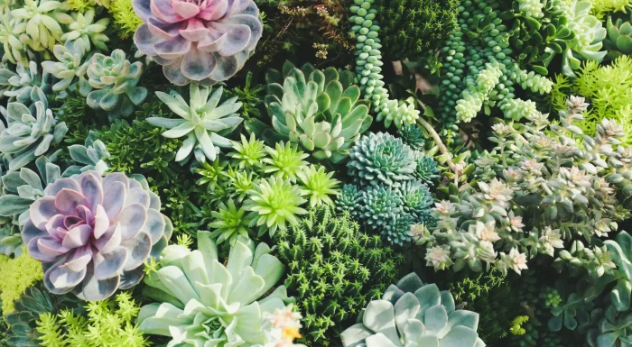 yen-vu-2MNFnPdsGyg-unsplash